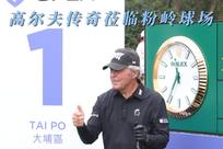 效的传导球